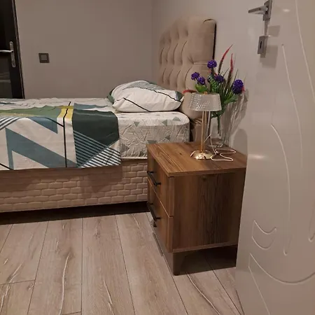 Nimo 5 1 For Rent With Private Pool Villa